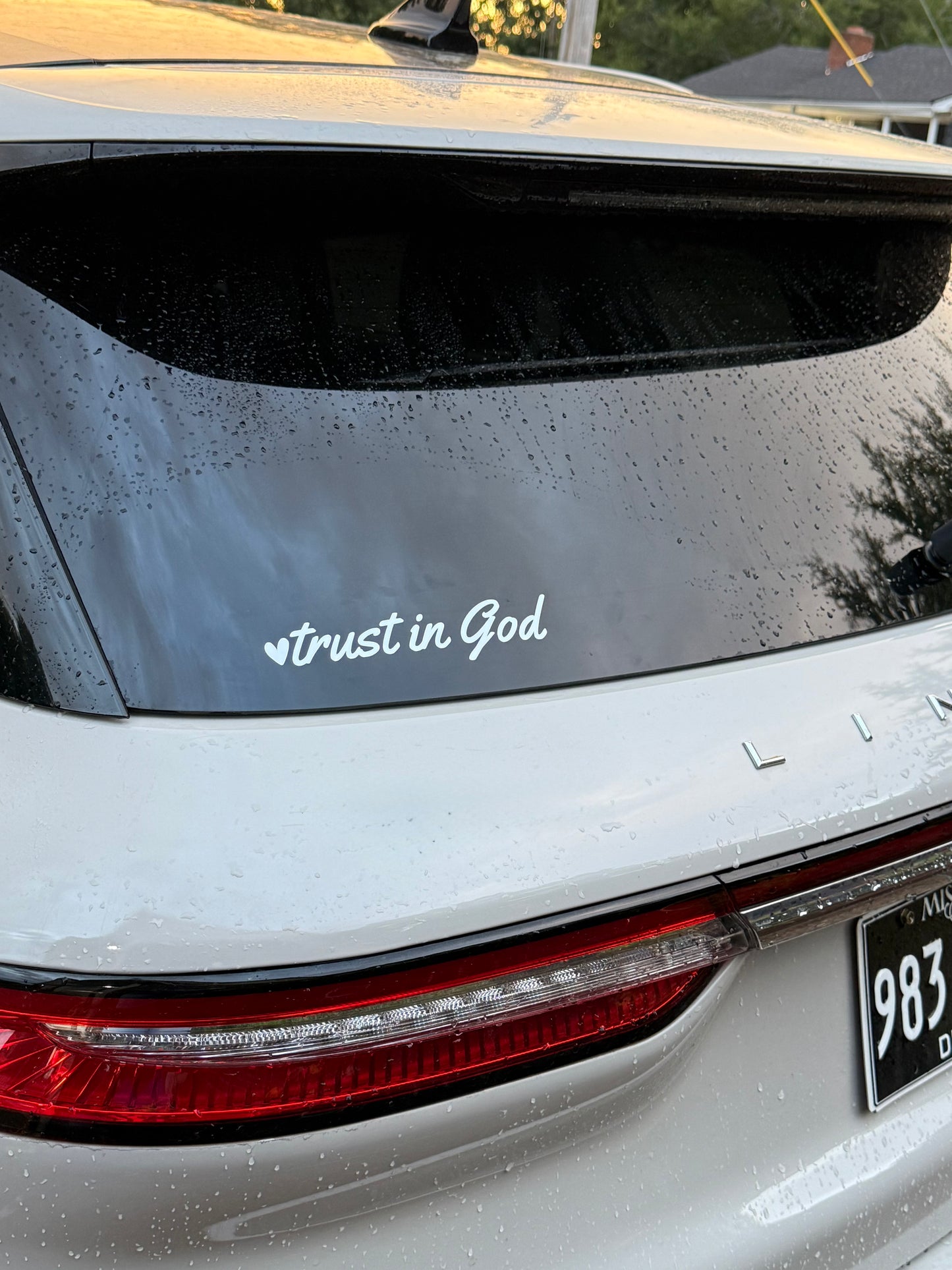 Trust in God Decal